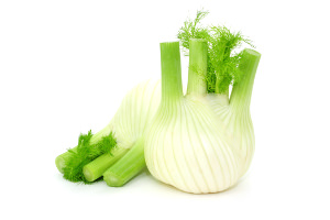 Fenchel